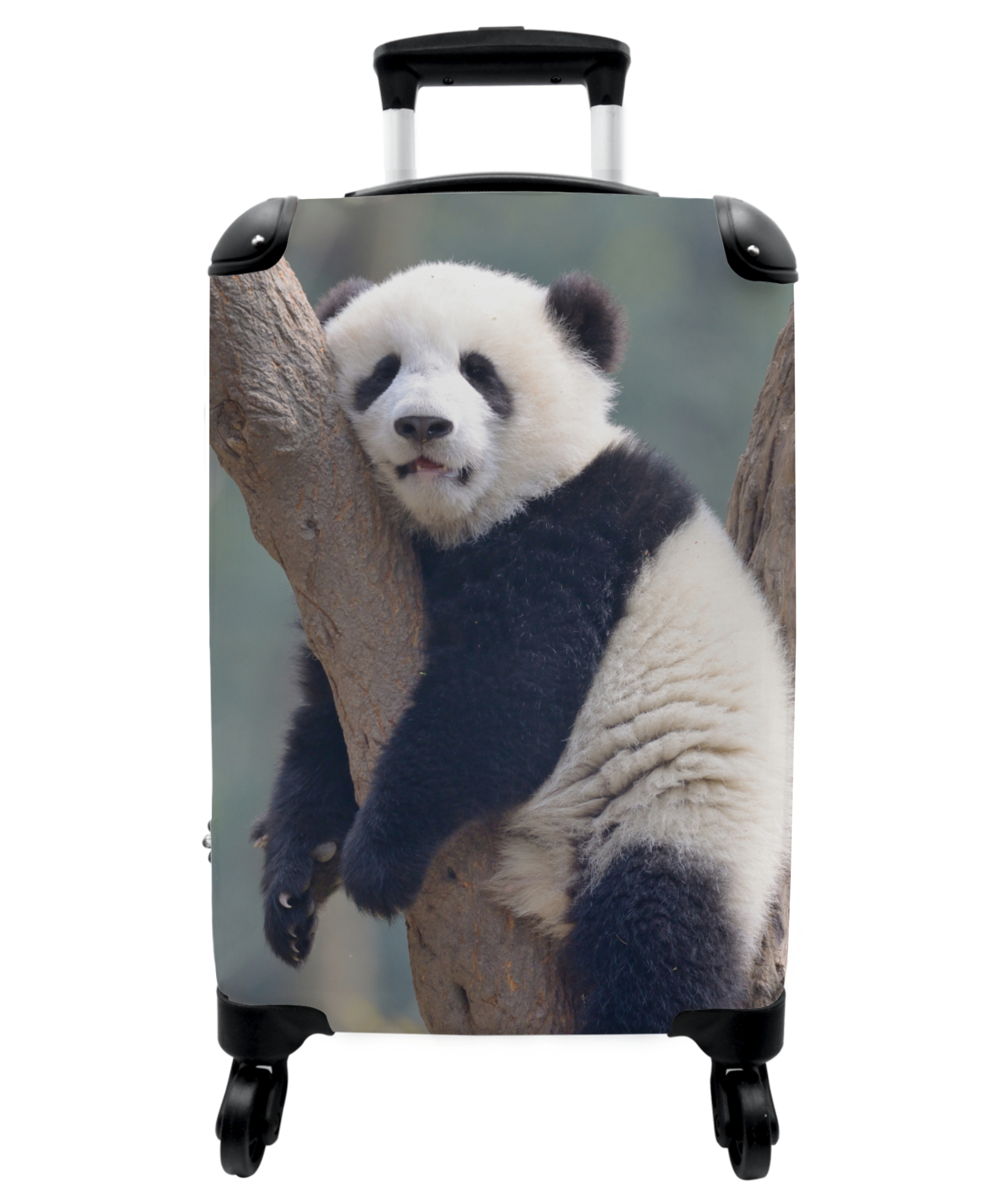 Koffer - Panda - Boom - Bos - Dieren-1