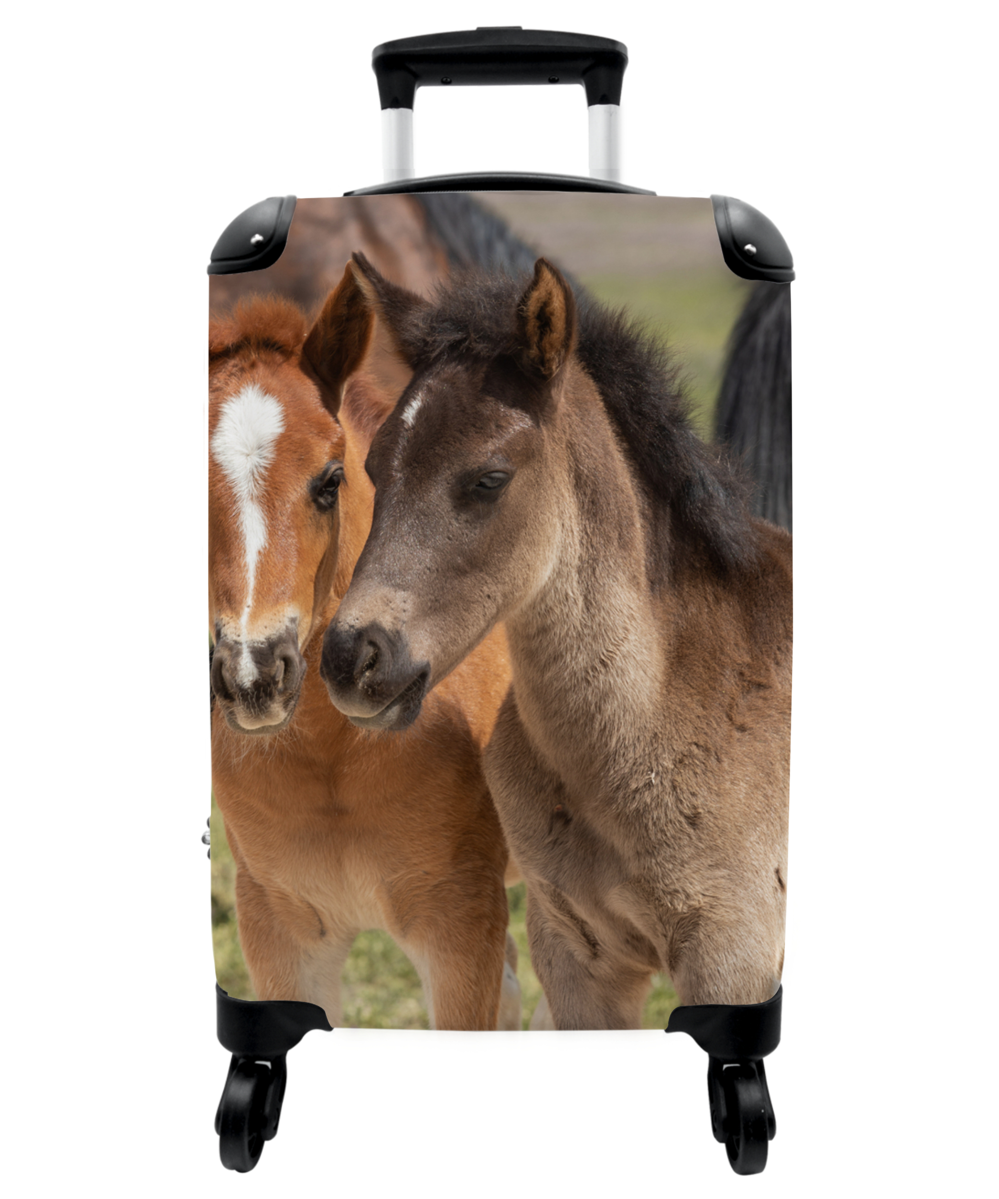Koffer - Paard - Veulen - Dieren - Kinderen - Bruin