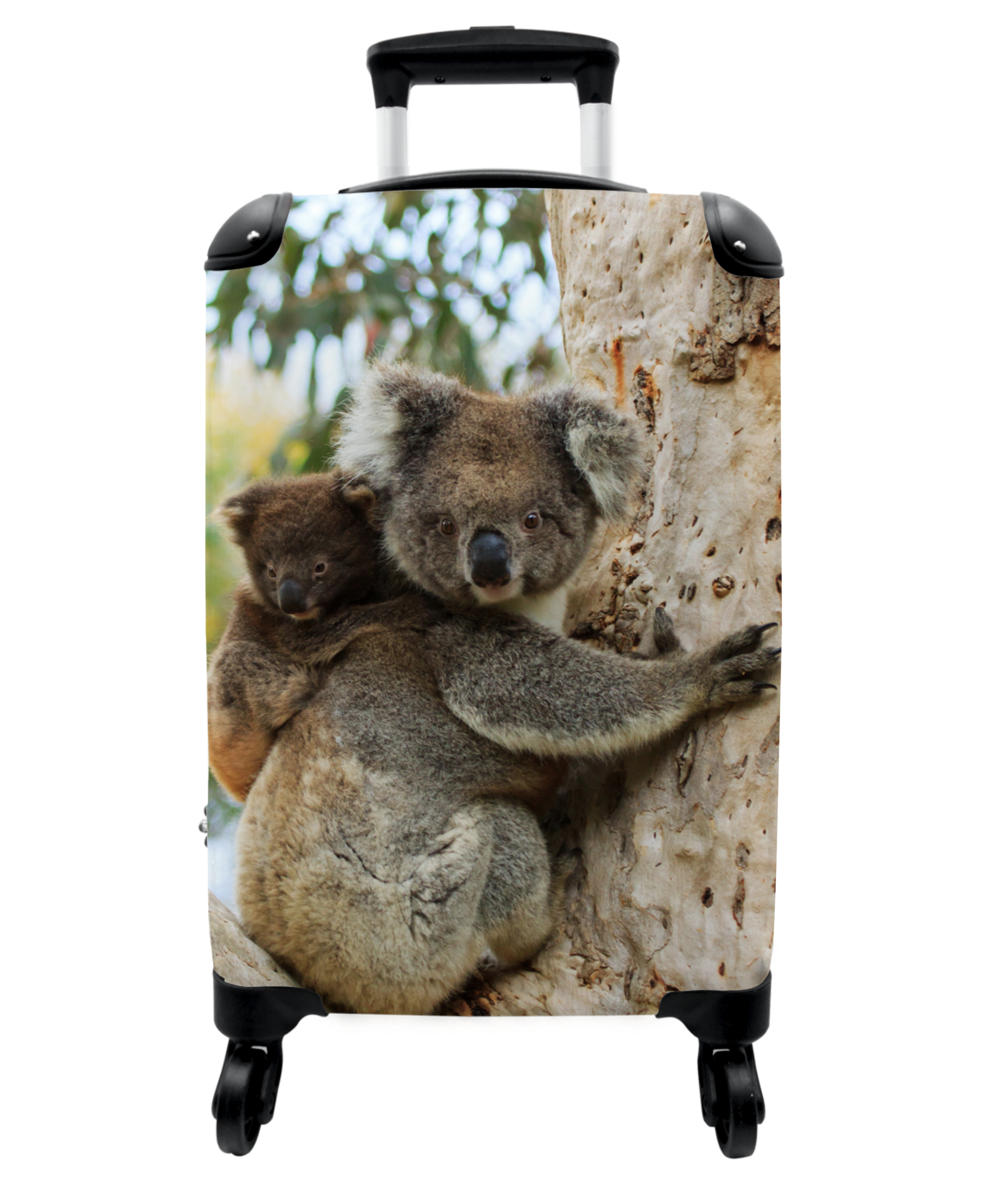 Koffer - Koala - Wilde dieren - Boom - Natuur - Kinderen
