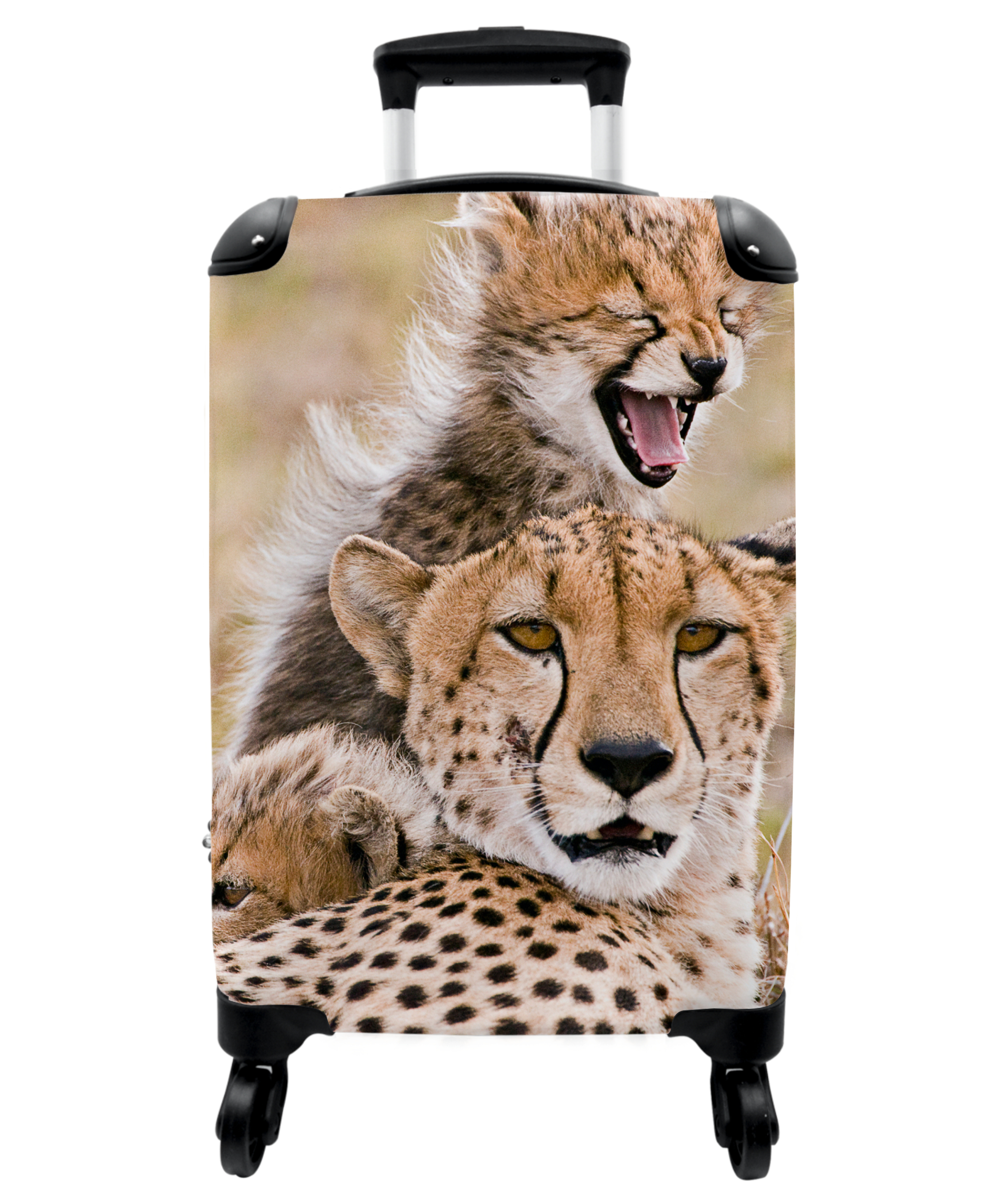 Koffer - Cheeta - Wilde dieren - Savanne - Portret-1
