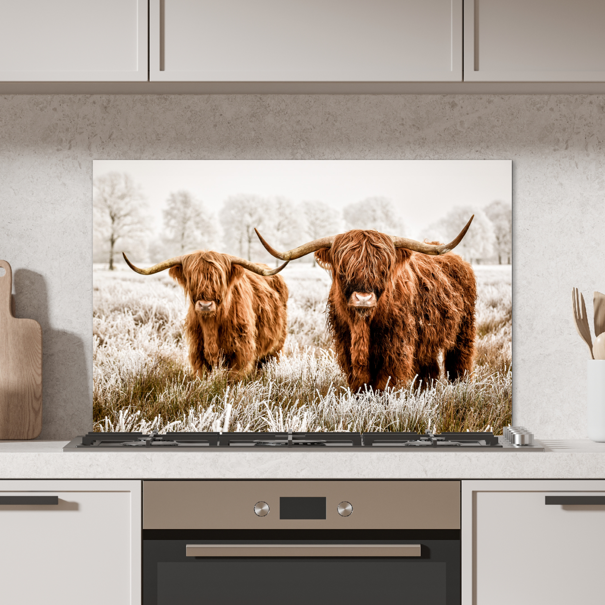 Spatscherm keuken - Schotse hooglander - Koe - Dieren-2