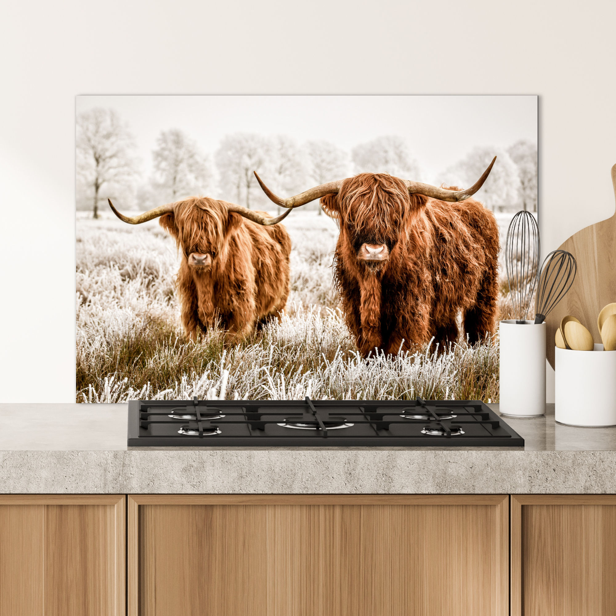 Spatscherm keuken - Schotse hooglander - Koe - Dieren-4