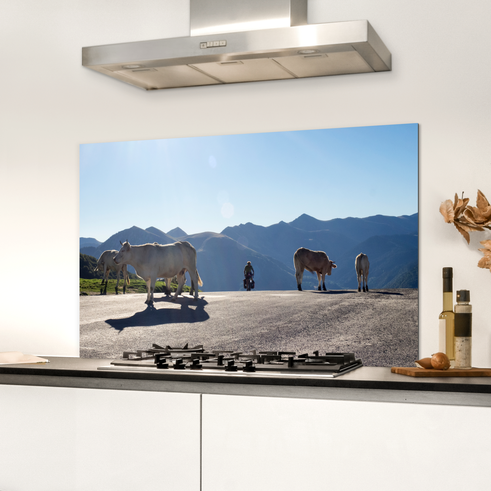 Spatscherm keuken - Schotse hooglander - Licht - Berg - Natuur-3