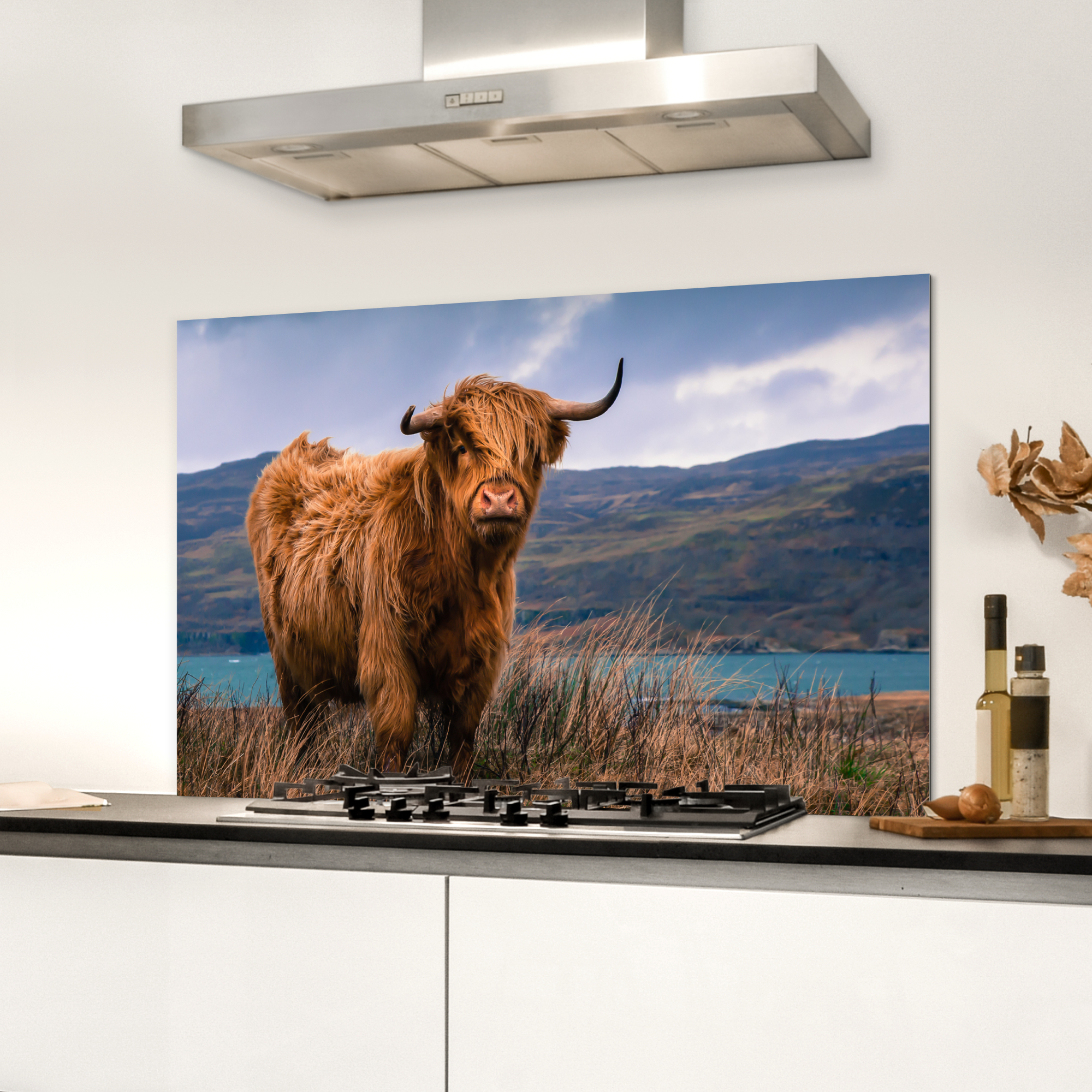 Spatscherm keuken - Schotse Hooglander - Berg - Water - Natuur - Koe-3