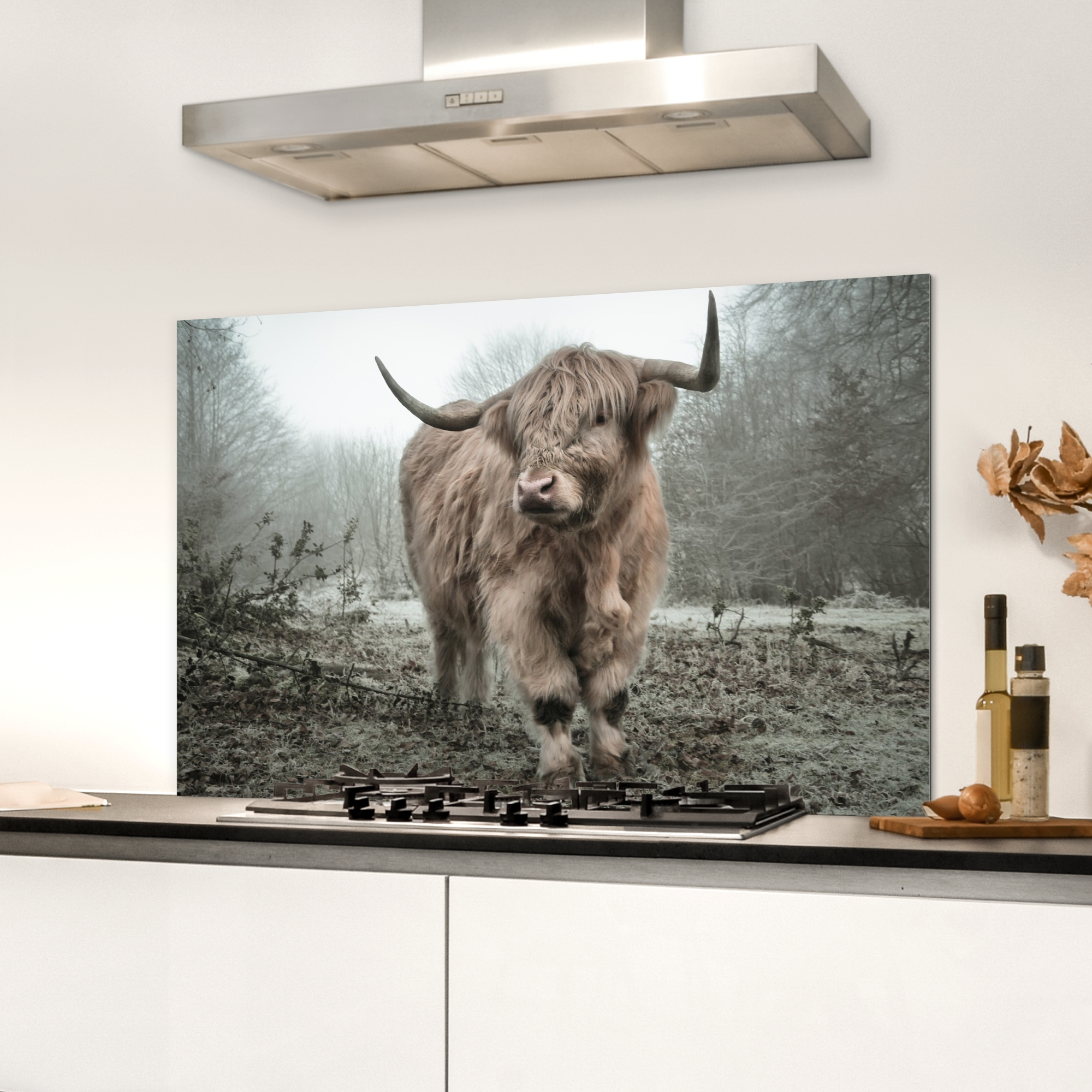 Spatscherm keuken - Schotse Hooglander - Bos - Mist - Koe - Dieren - Natuur-3