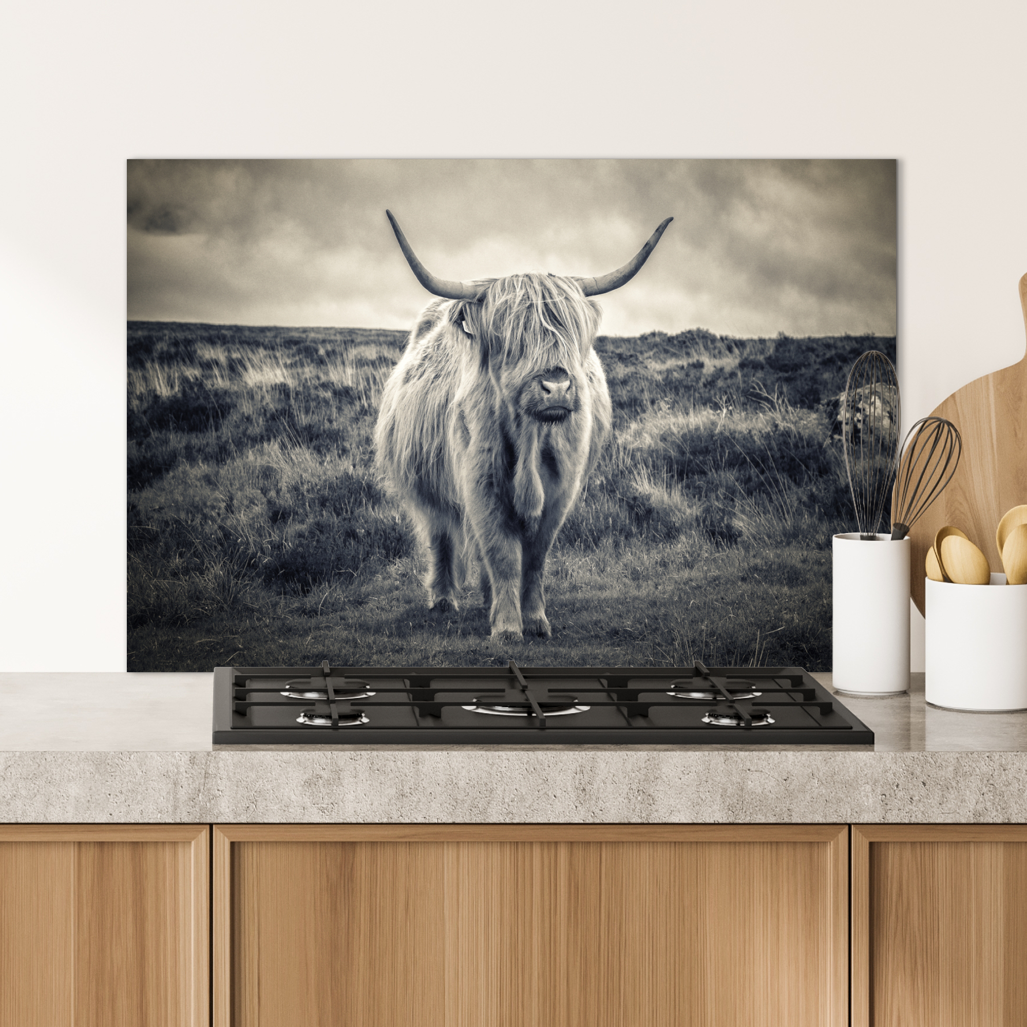 Spatscherm keuken - Schotse hooglander - Dieren - Wolk-4