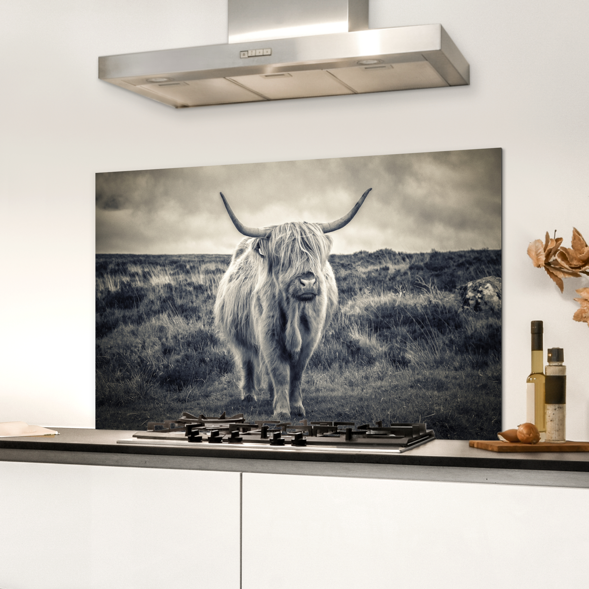 Spatscherm keuken - Schotse hooglander - Dieren - Wolk-3
