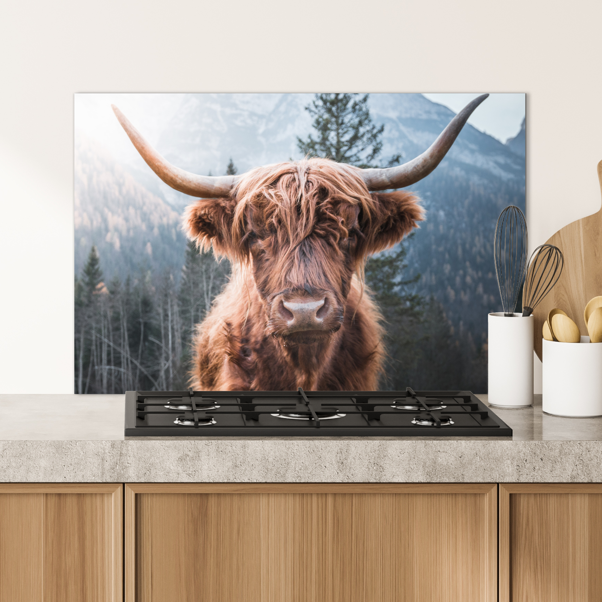 Spatscherm keuken - Schotse hooglander - Koe - Dieren - Berg - Natuur-4