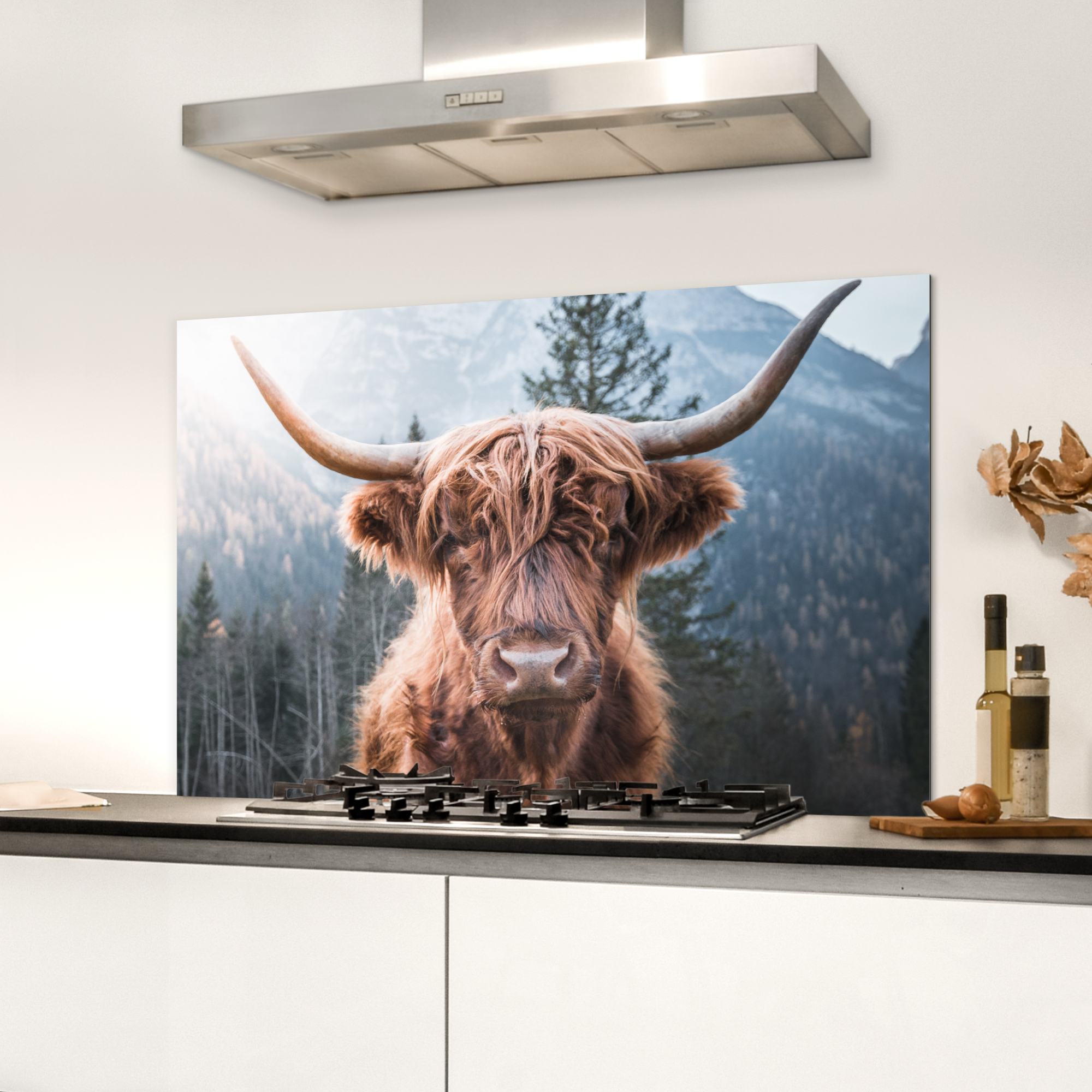 Spatscherm keuken - Schotse hooglander - Koe - Dieren - Berg - Natuur-3