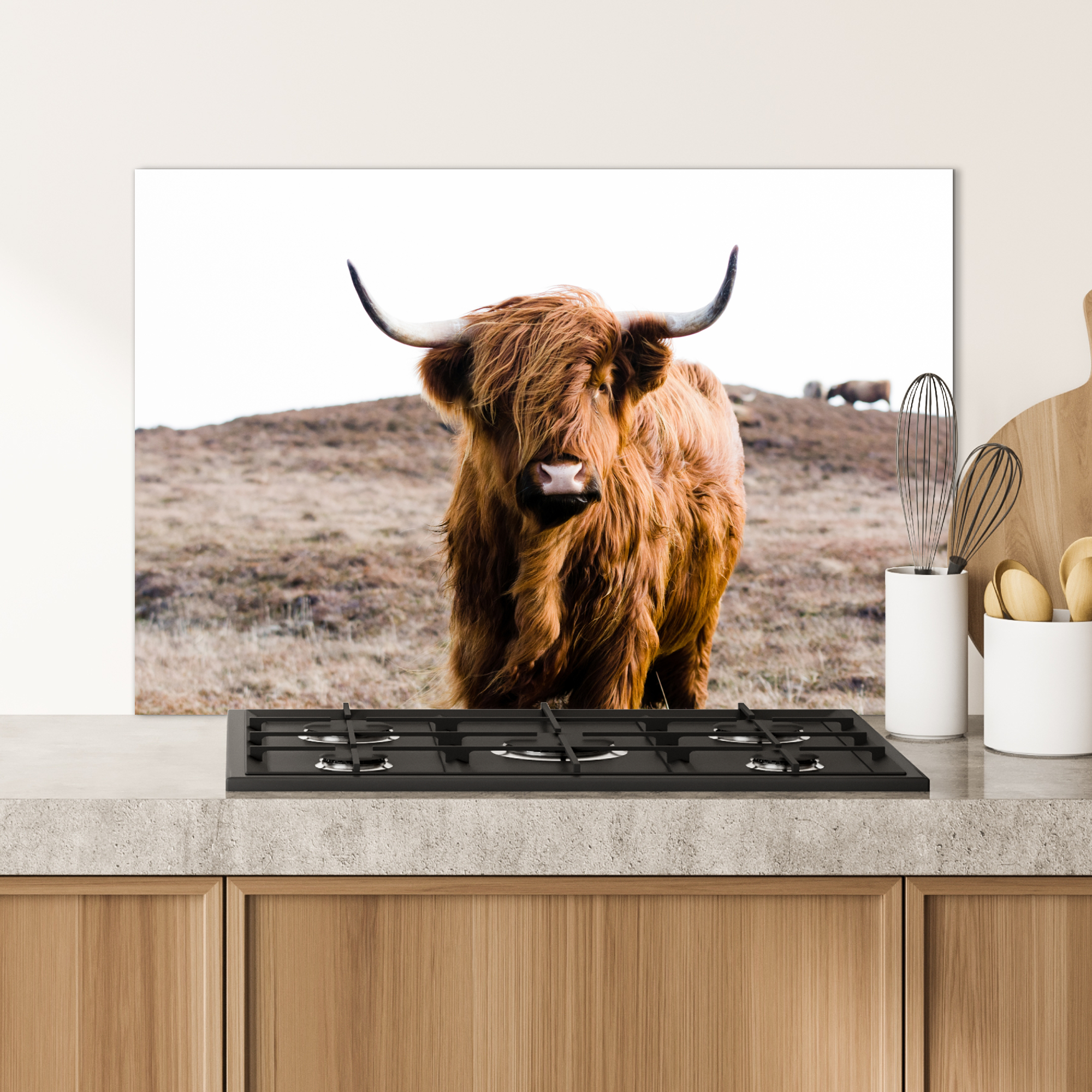 Spatscherm keuken - Schotse hooglander - Landschap - Koe - Bruin - Dieren - Natuur-4