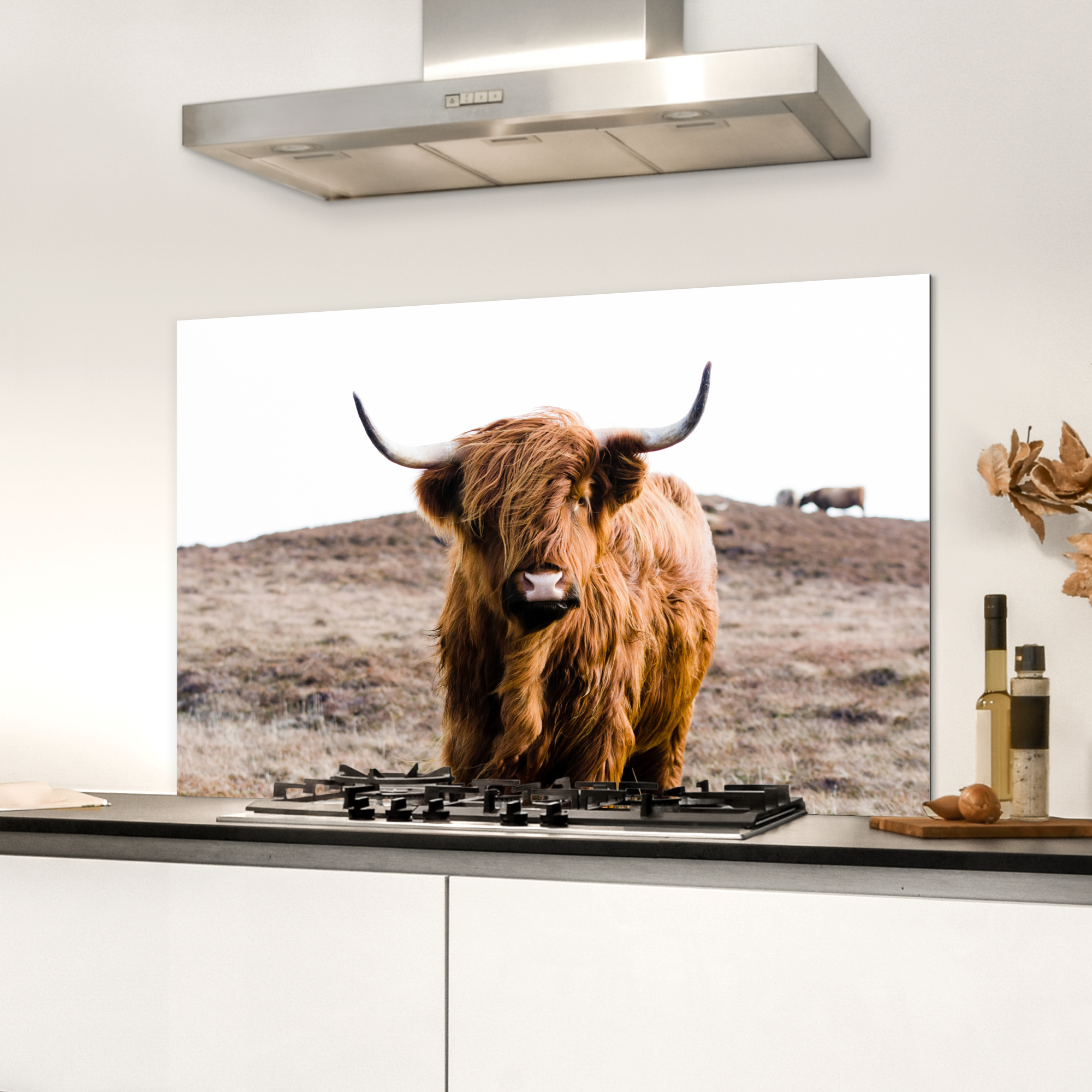 Spatscherm keuken - Schotse hooglander - Landschap - Koe - Bruin - Dieren - Natuur-3