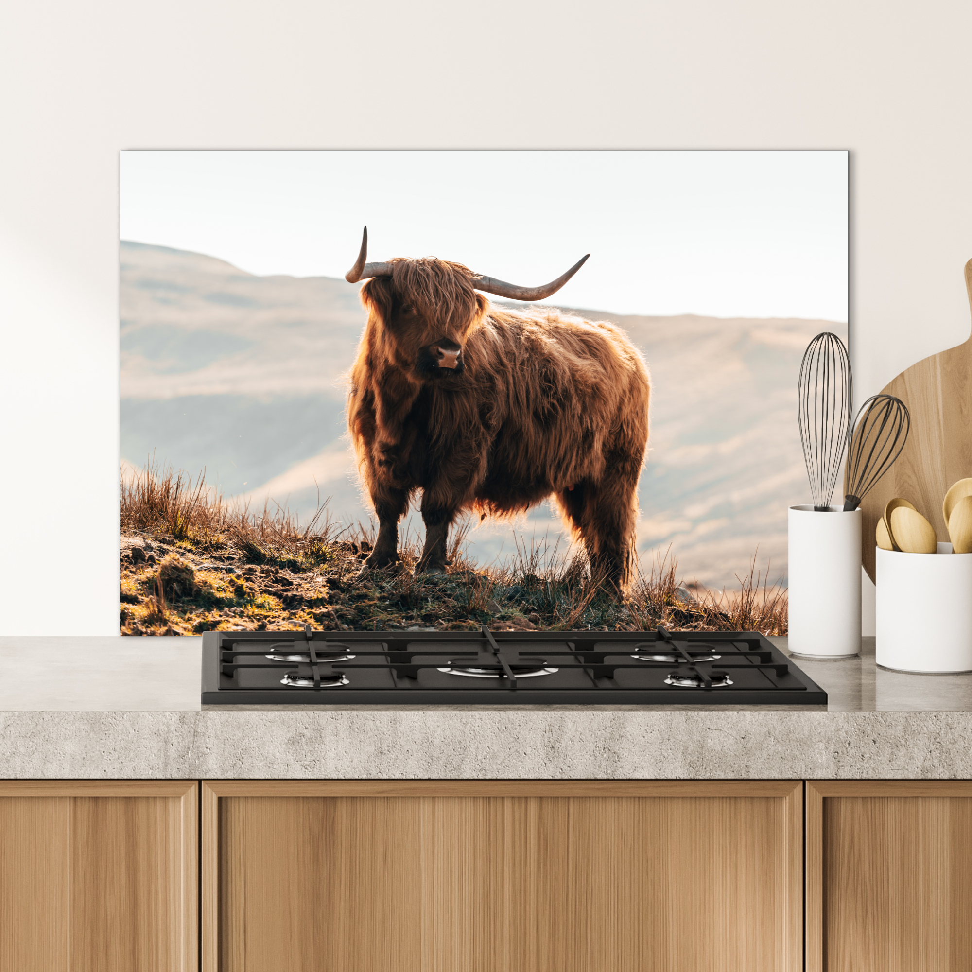 Spatscherm keuken - Schotse hooglander - Dieren - Landelijk - Landschap - Koe - Natuur-4
