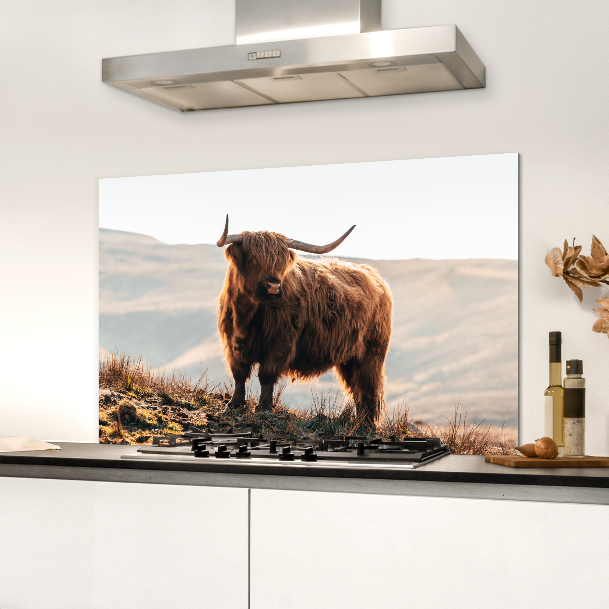 Spatscherm keuken - Schotse hooglander - Dieren - Landelijk - Landschap - Koe - Natuur-3