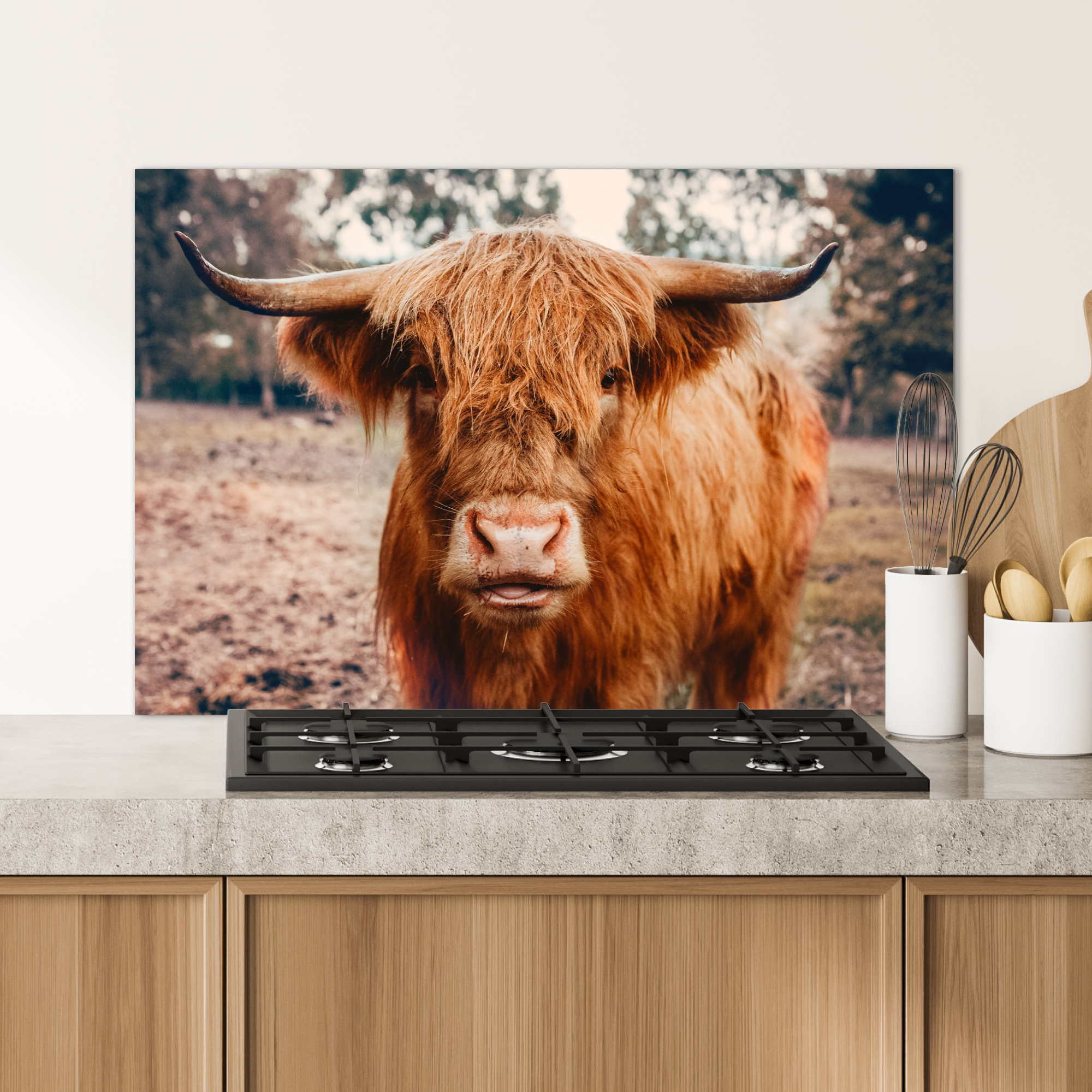 Spatscherm keuken - Koe- Schotse hooglander - Hoorns - Bruin - Landschap-4