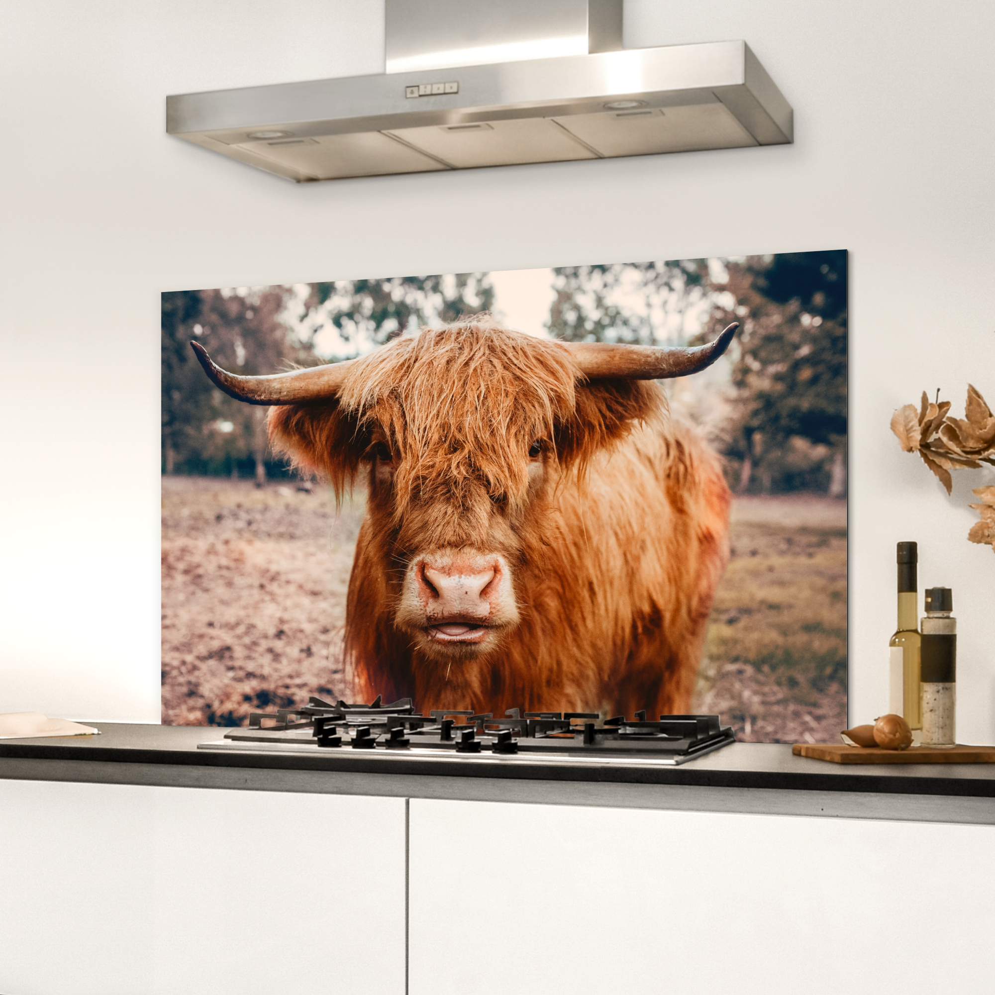 Spatscherm keuken - Koe- Schotse hooglander - Hoorns - Bruin - Landschap-3