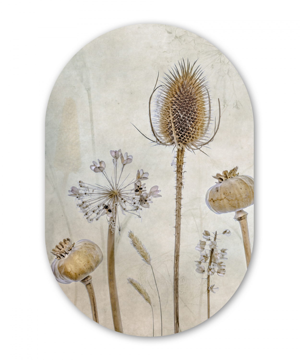 Muurovaal - Bloemen - Waterverf - Stilleven