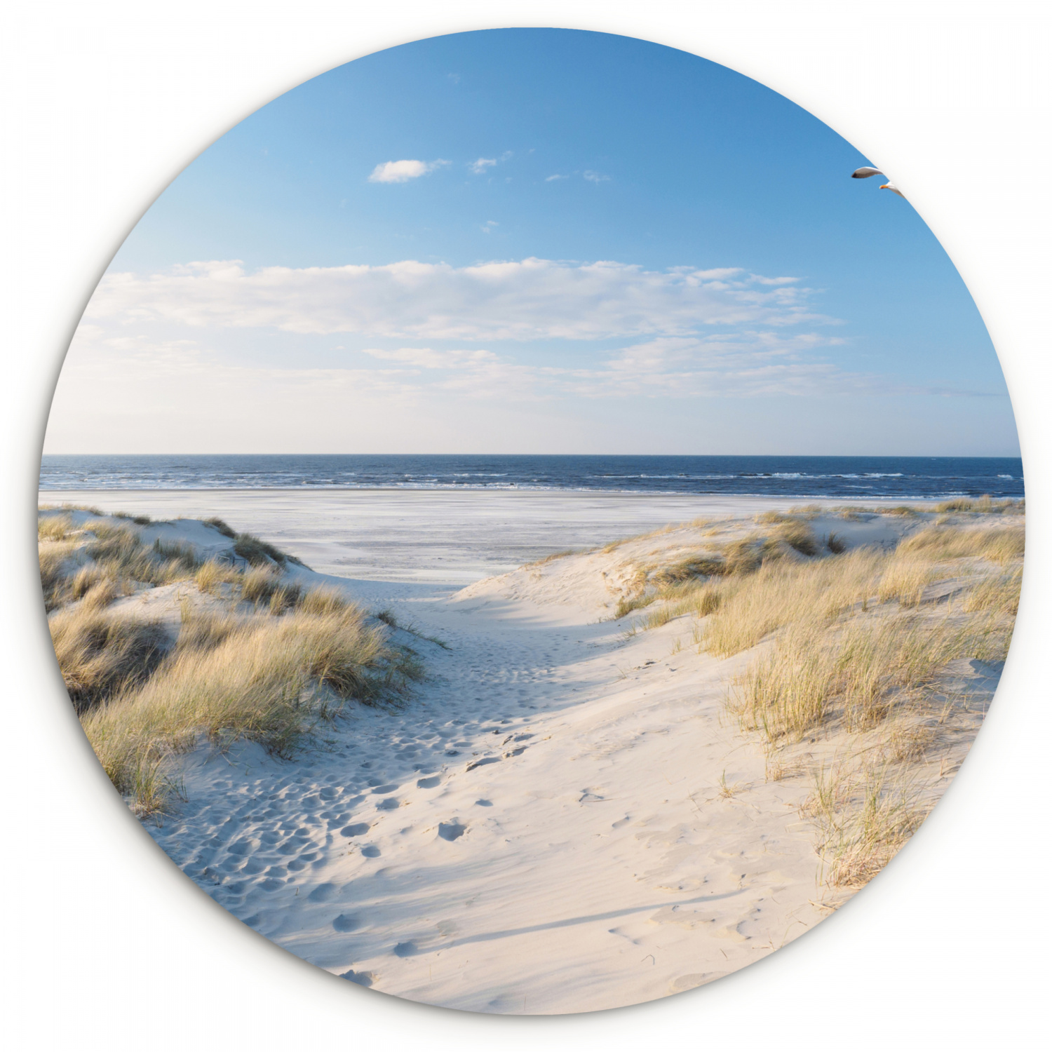 Muurcirkel - Duin - Meeuw - Strand - Zee - Zon