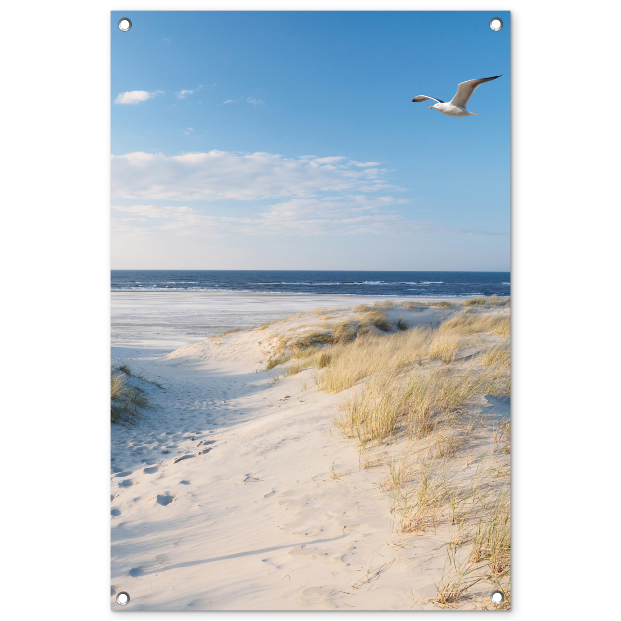 Tuinposter - Duin - Meeuw - Strand - Zee - Zon - Staand