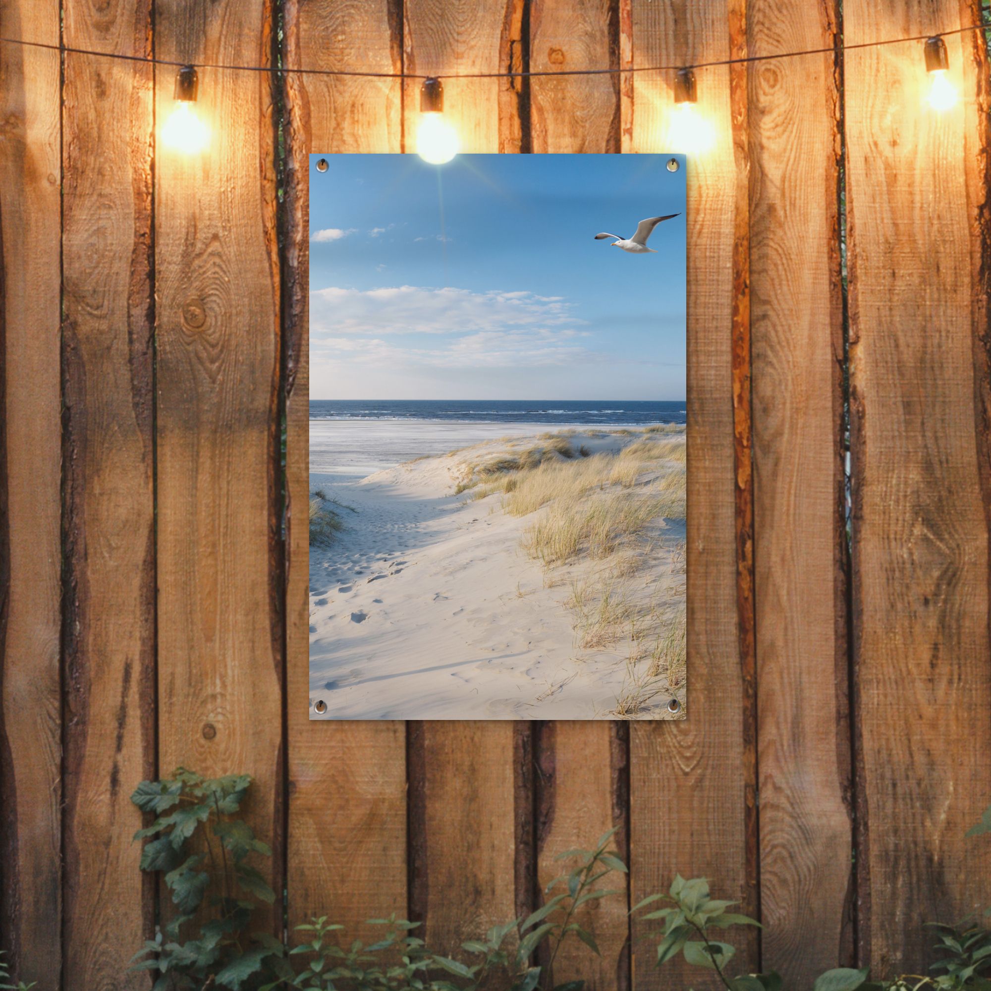 Tuinposter - Duin - Meeuw - Strand - Zee - Zon - Staand-2