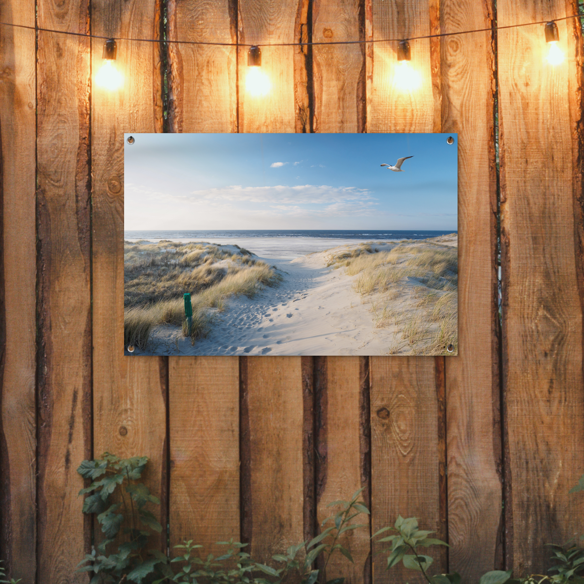 Tuinposter - Duin - Meeuw - Strand - Zee - Zon - Liggend-2