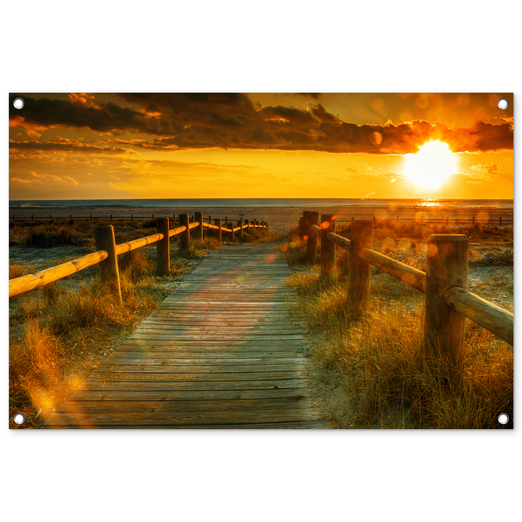 Tuinposter - Zon - Strand - Duin - Horizon - Gras - Pad - Oranje - Liggend