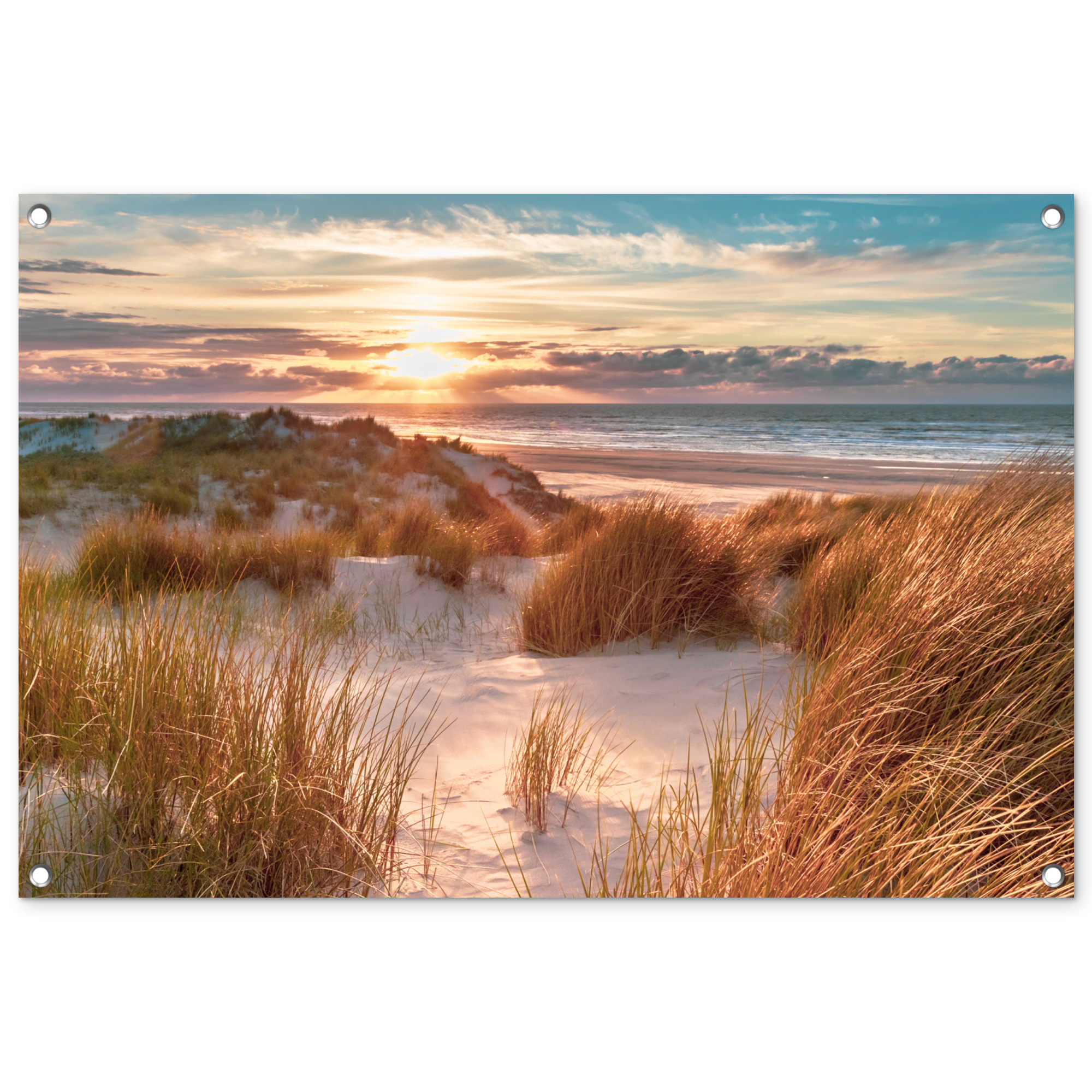 Tuinposter - Duin - Planten - Zonsondergang - Strand - Zee - Liggend