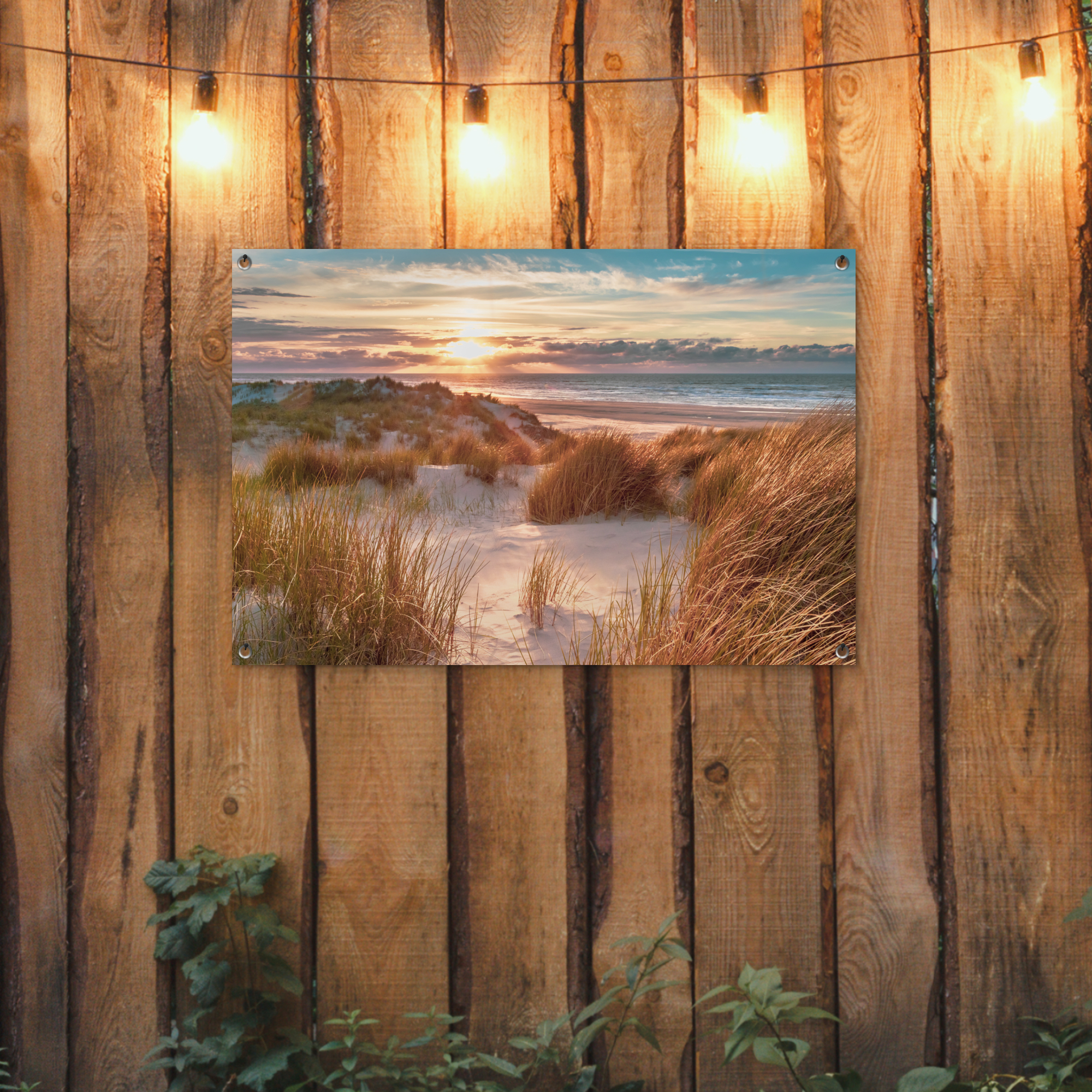 Tuinposter - Duin - Planten - Zonsondergang - Strand - Zee - Liggend-2