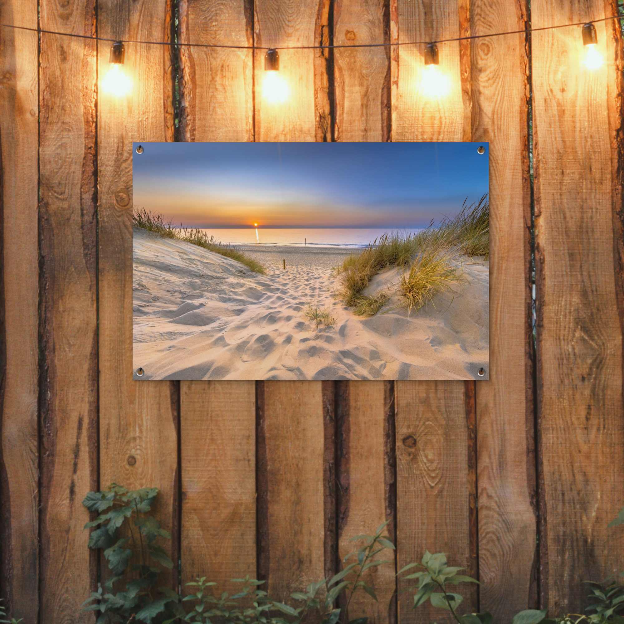 Poster d'extérieur - Dune - Coucher de soleil - Horizon - Plage - Herbe - Horizontal-2