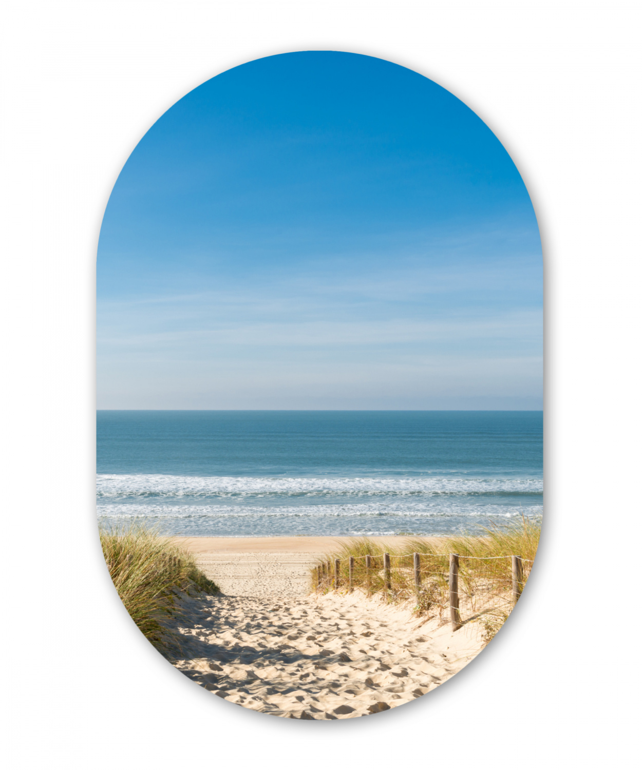 Muurovaal - Strand - Zee - Duin