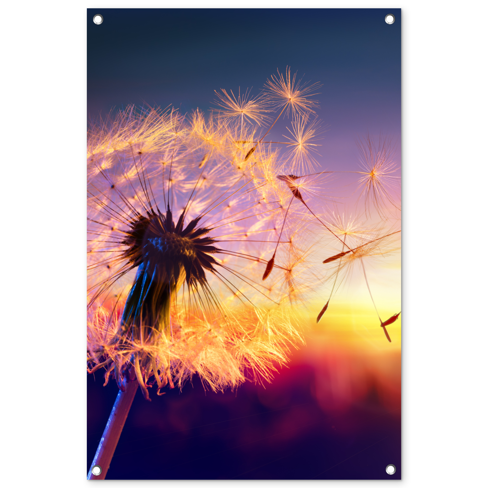 Tuinposter - Paardenbloem - Bloemen - Zonsondergang - Horizon - Nacht - Staand