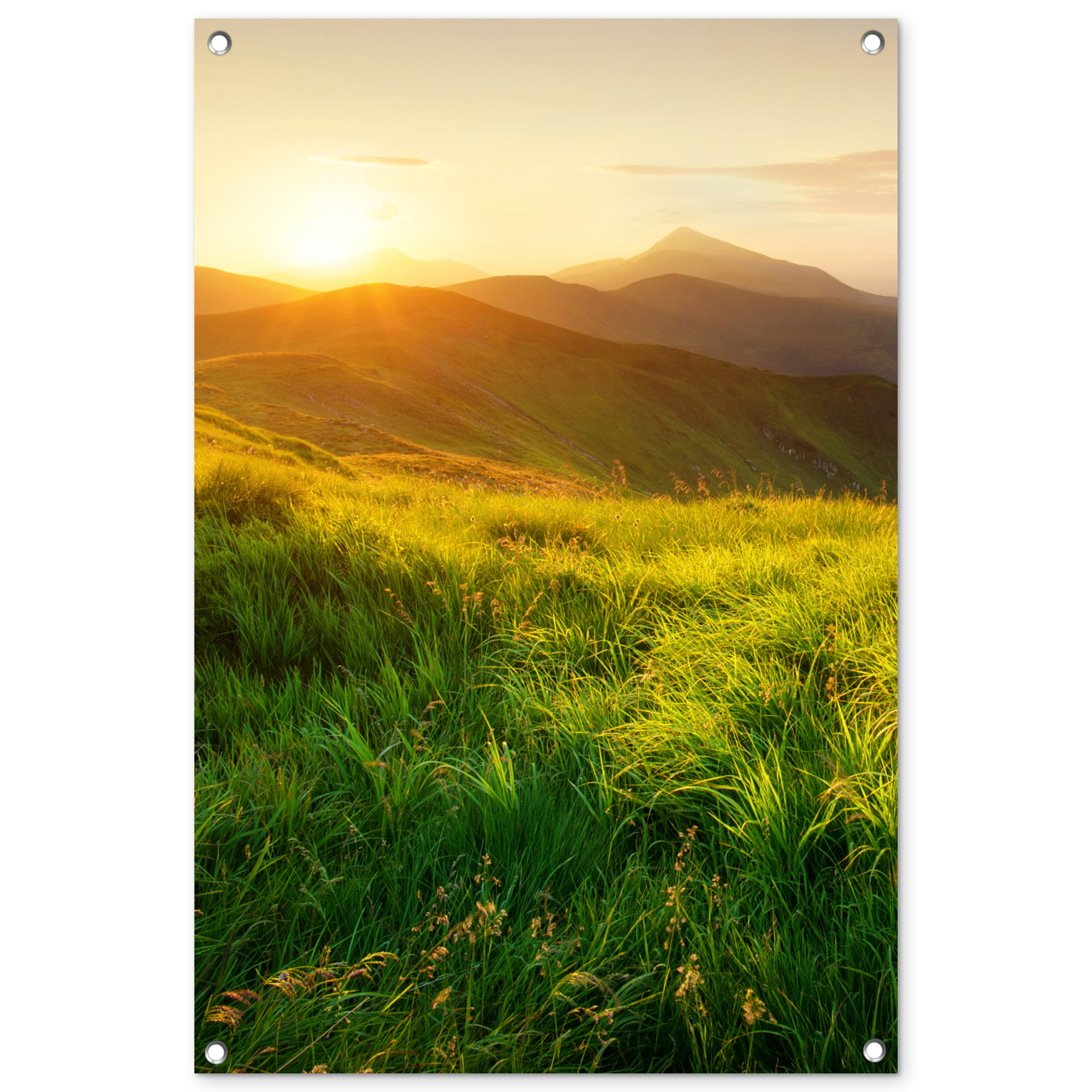 Outdoor Poster - Gras - Hügel - Sonne - Natur - Landschaft - Vertikal