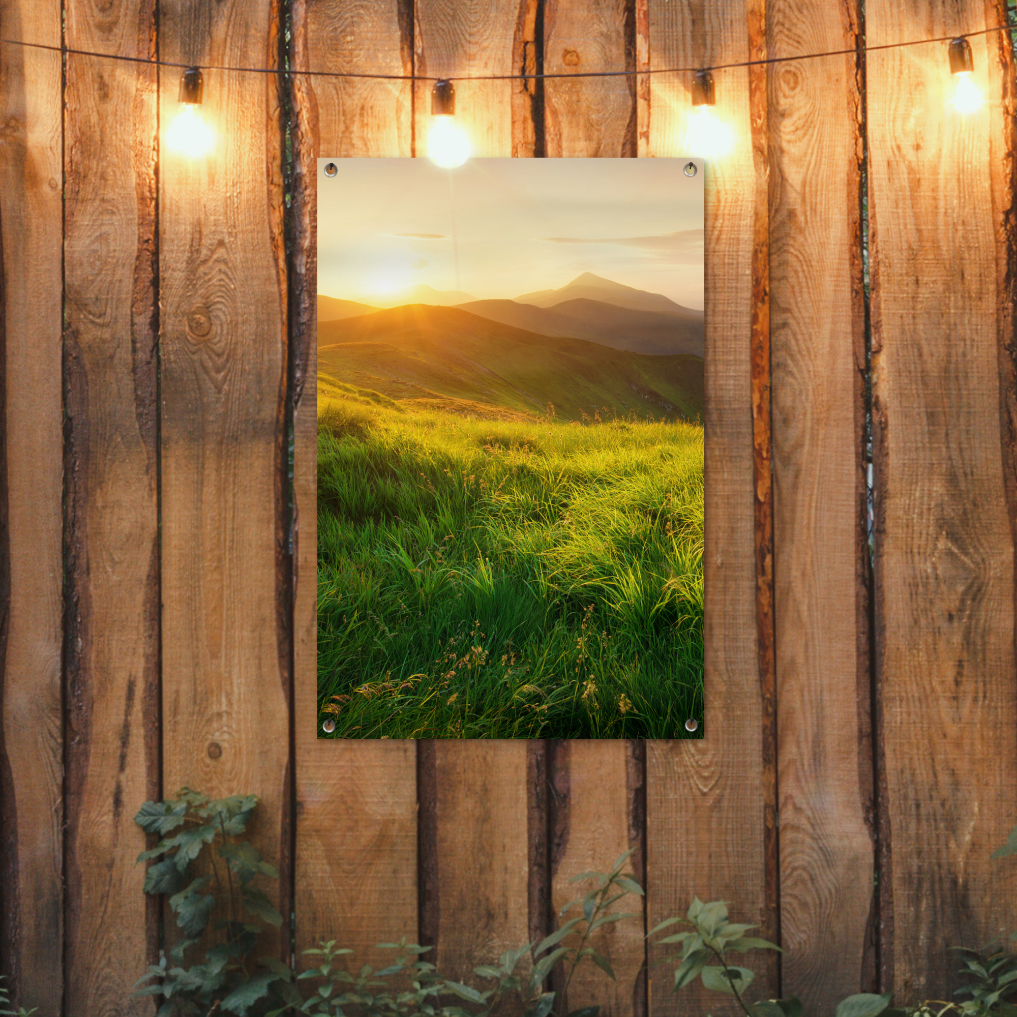 Outdoor Poster - Gras - Hügel - Sonne - Natur - Landschaft - Vertikal-2