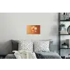 Glazen - Bloem - Oranje Muursticker klein -slaapkamer
