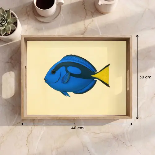 Blauw - Dory - Vis - Staartvin Dienblad Rechthoek middel -USP_Formaat