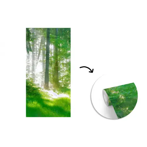 Natuur - Bomen - Bos - Groen - Zon fotobehang vinyl groot -3d