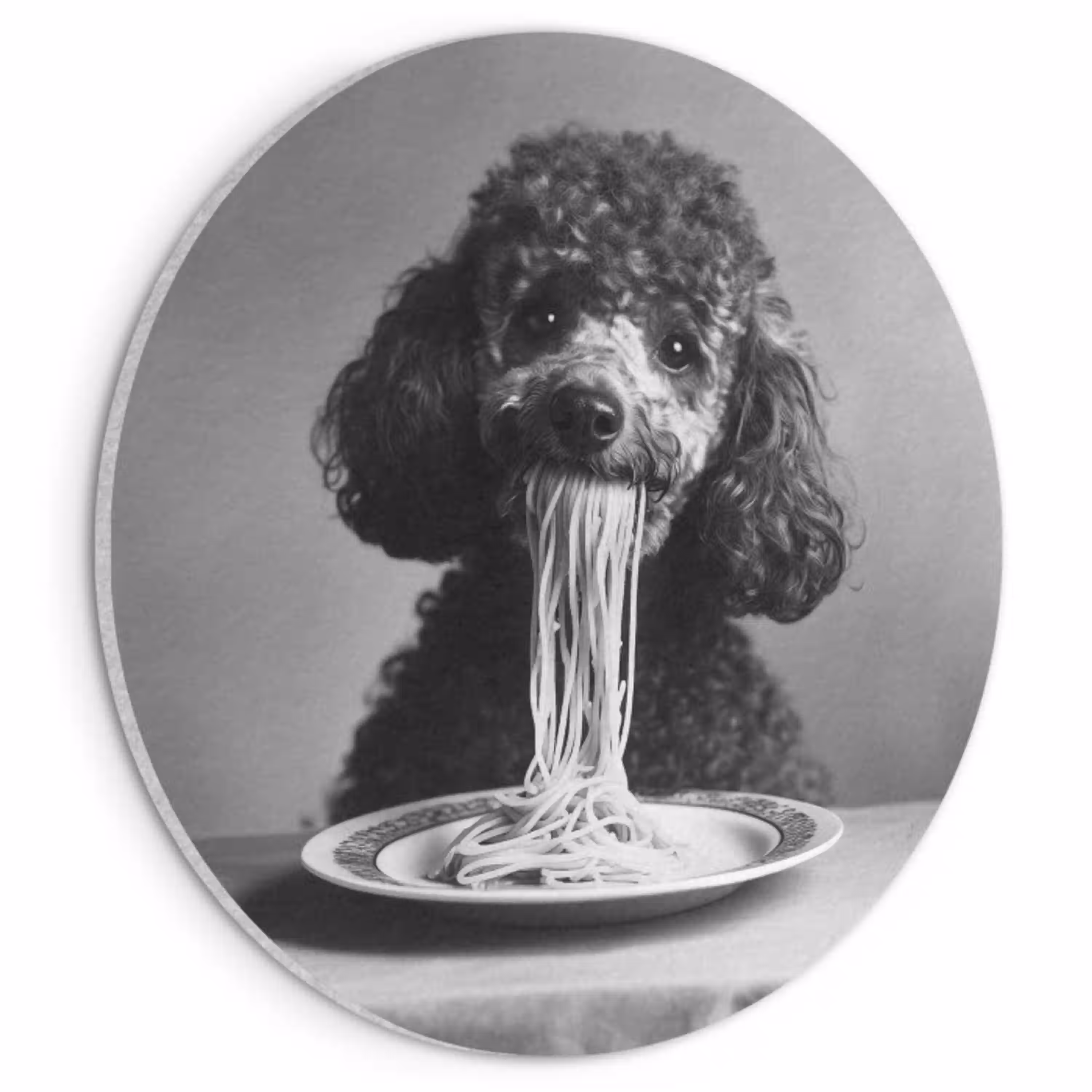 Poedel - Hond - Zwart - Wit - Schattig - Pasta Akoestische PET Vilt - Rond klein -3d