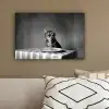 Bengaal - Kat - Tafelkleed - Zwart - Wit - Dier canvas 2cm klein -sfeer3