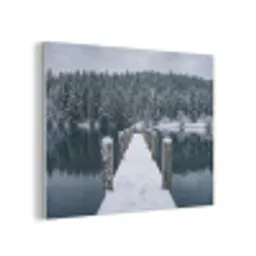 Steiger - Meer - Sneeuw - Bergen - Rustgevend PET vilt klein -3d