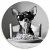 Chihuahua - Hond - Zonnebril - Humoristisch - Zwart - Wit - Spaghetti Wandcirkel kunststof plaat 5mm dik klein -3d