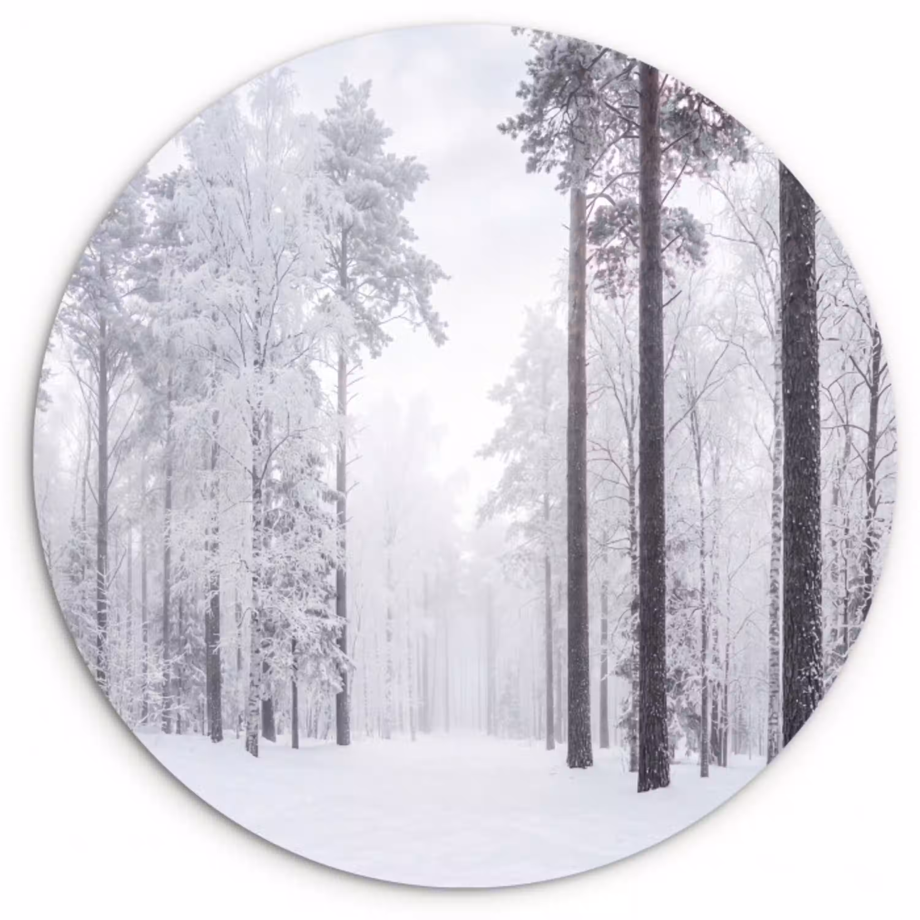 Bos - Sneeuw - Pad - Winter - Stilte Wandcirkel kunststof plaat 5mm dik klein -3d