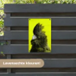 Kaketoe - Vogel - Geel tuinposter los doek klein -sfeer3