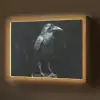 Raaf - Vogels - Zwart Light Box met batterij (Wandlamp) middel -z3d_website