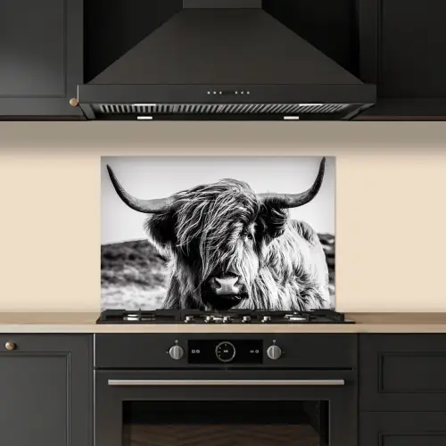 Koe - Schotse hooglander - Zwart - Wit - Dier - Natuur - Wild keuken achterwand spatscherm klein -sfeer1