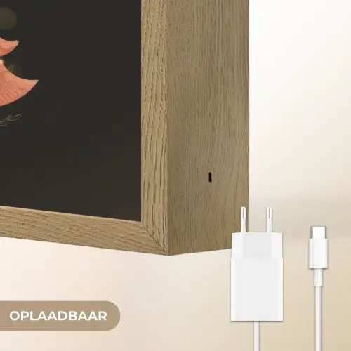 Kerstbomen - Kleurrijk - Lichtjes - Ster Light Box met batterij (Wandlamp) middel -USP_websiteoplaadbaarNL