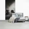 Halter - Gewichten - Zwart fotobehang vinyl groot -slaapkamer