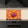 Dahlia - Bloem - Oranje keuken achterwand spatscherm klein -sfeer1