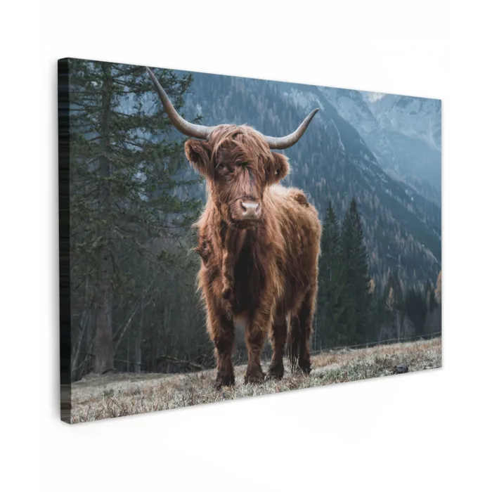 Schotse hooglander - Berg - Landschap - Bomen - Koe - Natuur Tuinposter op houten frame 2 cm dik klein -3d
