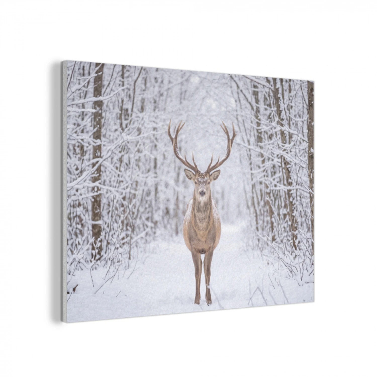 Hert - Winter - Bos - Natuur - Wit PET vilt klein -3d