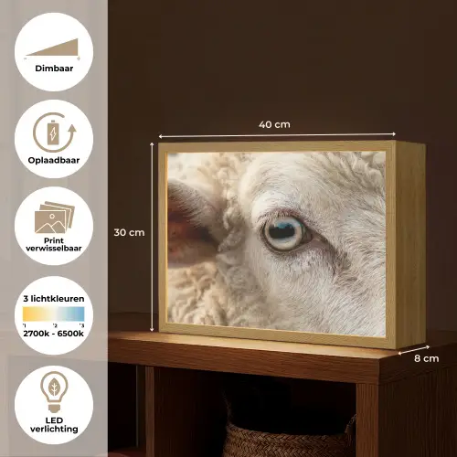 Schaap - Oog - Wit Light Box met batterij (Wandlamp) middel -USP_websiteoverzichtNL