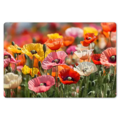 Bloemenveld - Klaprozen - Kleurrijk Placemat vinyl groot -zzsfeer1_Kitchenyeah-website